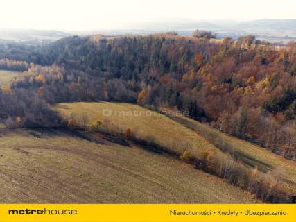 Działka rolna na sprzedaż, 20752 m2, Nowy Waliszów