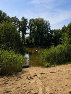 Zabytkowy pałac 1 160 m 2,57 ha parku Wrocław