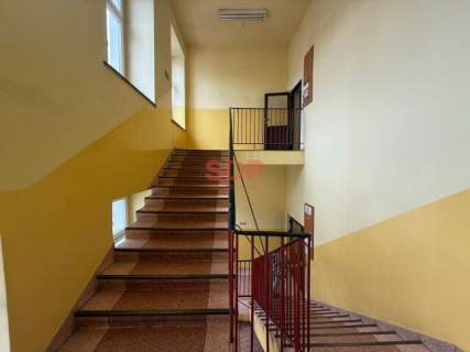 Kameralny lokal w centrum Kazimierza Wielkiego