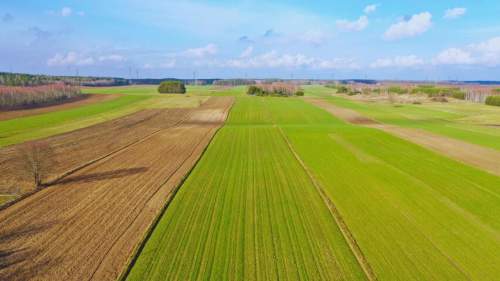 Działki budowlane w atrakcyjnej cenie blisko Łomży