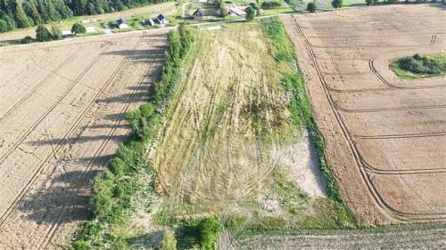 Działka - Stare Bielice Platanowe