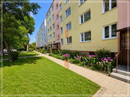 Wysoki parter 60m2 3 pokoje Centrum