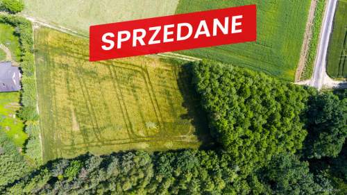 Na sprzedaż działka 79 arów- Domosławice