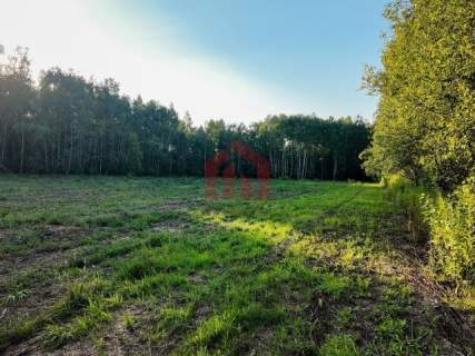 Działki budowlane lesie - Zarezerwowane