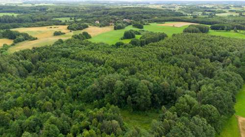 Działka siedliskowa na sprzedaż, 60200 m2, Nowe Mieczysławy