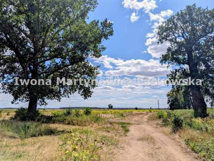 Bezczynszowe - 3 pokoje duży ogród, Gmina Rudna