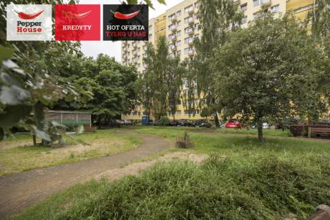2 pokojowe mieszkanie - Żabianka