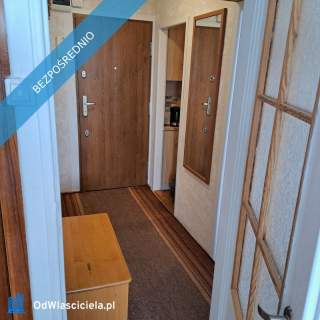 Do wynajęcia mieszkanie 38 m2