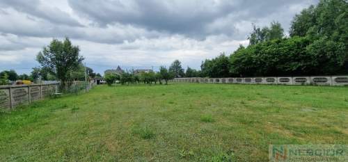 Duża działka usługowa 6000m2 w Grezów