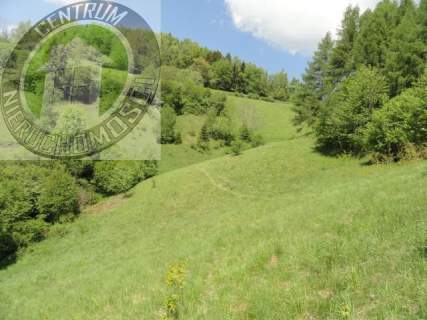 Działka rolna na sprzedaż, 2600 m2, Ochotnica Dolna