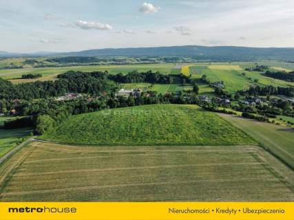 7 hektarów dla dewelopera lub do podziału