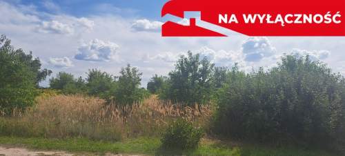 Odpoczynek po trudach Tylko w Susznie 