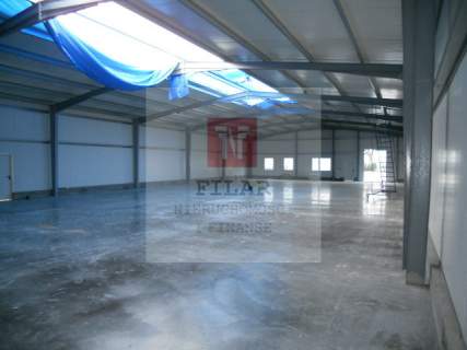 Hala magazynowa na wyanjem, 578m2.