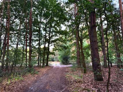 Działka budowlana 3400m2 WZ Budy Michałowskie