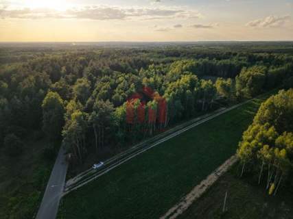 Działki budowlane lesie - Zarezerwowane