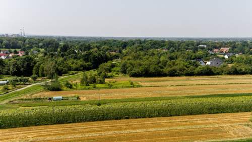 Działka budowlana Tarnów, ul. Cedrowa