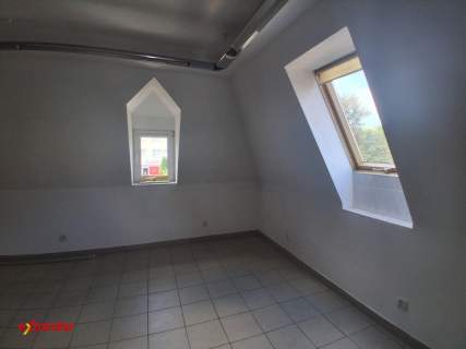 lokal 46 m2 do wynajęcia