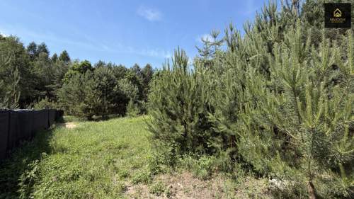Cisza natura woda prąd światłowód MPZP Kampino