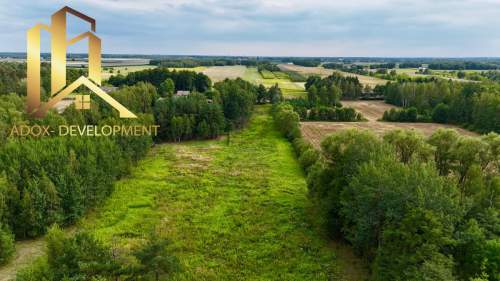Atrakcyjne działki 3000 m Adamów Drwalewski