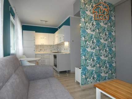 Kawalerka, piwnica, pet-friendly - Wilka 10
