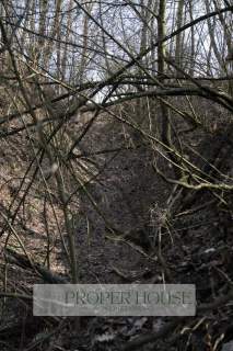 Kazimierski Park Krajobrazowy Piękna działka leśna