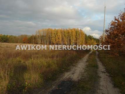 Działka budowlana na sprzedaż, 1200 m2, Puszcza Mariańska