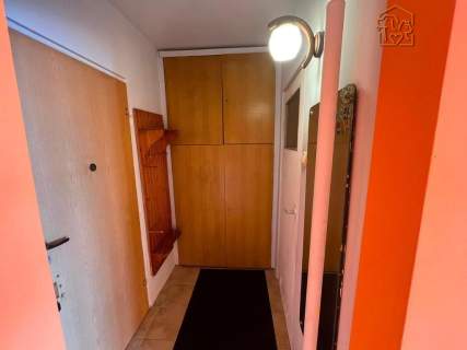 Ustawna kawalerka pet-friendly- Al. Włókniarzy 228