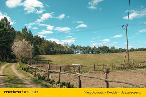 Dochodowa agroturystyka NOWOGRÓDEK