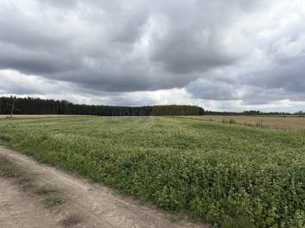 Działka rolna 1,21 ha, kształt trapezu, dojazd z g