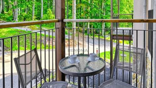 Gotowy biznes w górach Apartament inwestycyjny 2