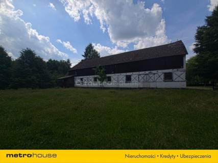 Dochodowa agroturystyka NOWOGRÓDEK