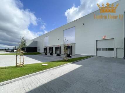 Na wynajem nowy magazyn z biurem 3000m2 i więcej, Raszyn, trasa...