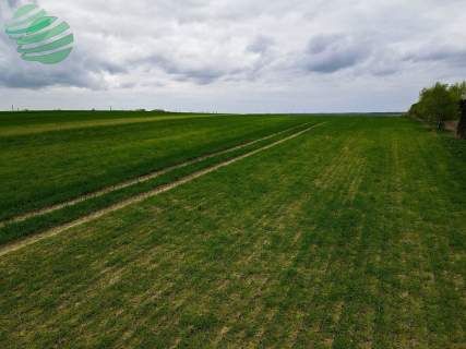 Działka budowlana Bobrowiczki 1000m2