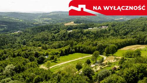 Działka 90 ar z Wz Olszowa, TANIO 