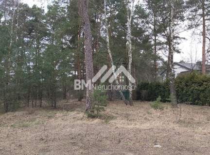 Adamowizna 1750 m2, media, las
