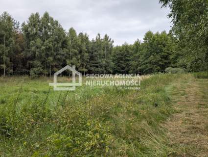 Działka siedliskowa 100.358m2, Jaroszewy/Skarszewy