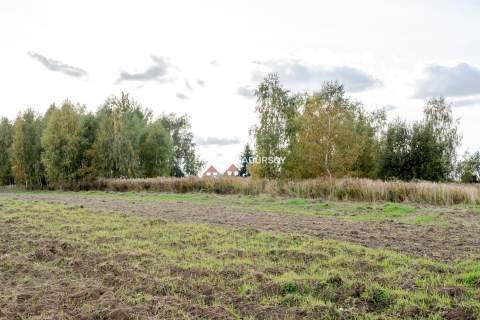 Działka budowlana / 25 ar / płaska / Cholerzyn
