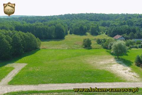 Działka Lipsko Kolonia pow. 0,1191 ha