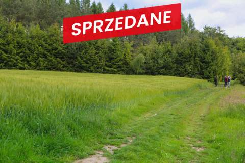 Na sprzedaż działka 79 arów- Domosławice
