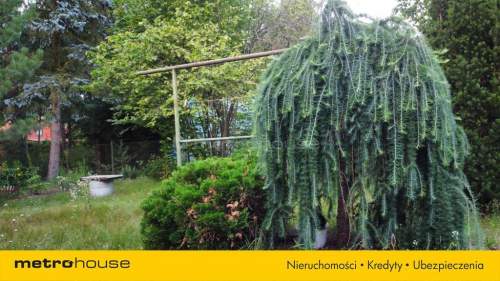 Dom 72m2 z ogrodem w lesie. Arciechów nad Bugiem.