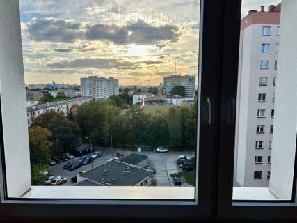 Ustawne. Po odświeżeniu.