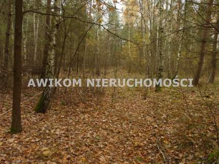 Działka budowlana na sprzedaż, 12500 m2, Antoniew