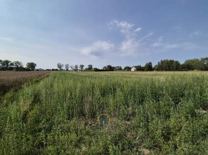 Do sprzedania działka 1246 m2