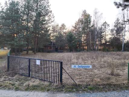 działka ROD Piotruś Syyrzyniec