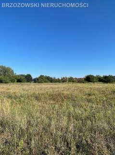 Wawer, Zerzeń, 835 m2, WZ, wolnostojący