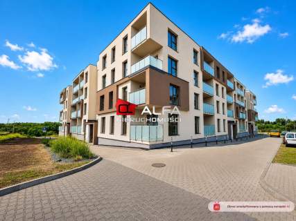 Mieszkanie do wynajęcia, 45 m2, Świdnica