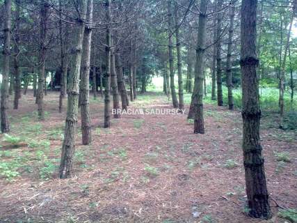 Wolnostojący dom ok. 600 m2