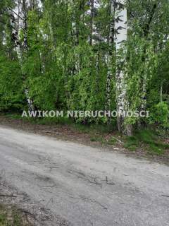 Działka siedliskowa na sprzedaż, 75200 m2, Kornelówka