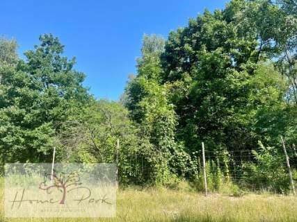Działka dla DEWELOPERA Olechów/Janów 9960m2