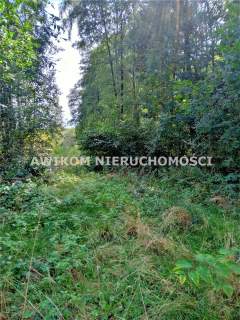 Działka budowlana na sprzedaż, 4000 m2, Książenice